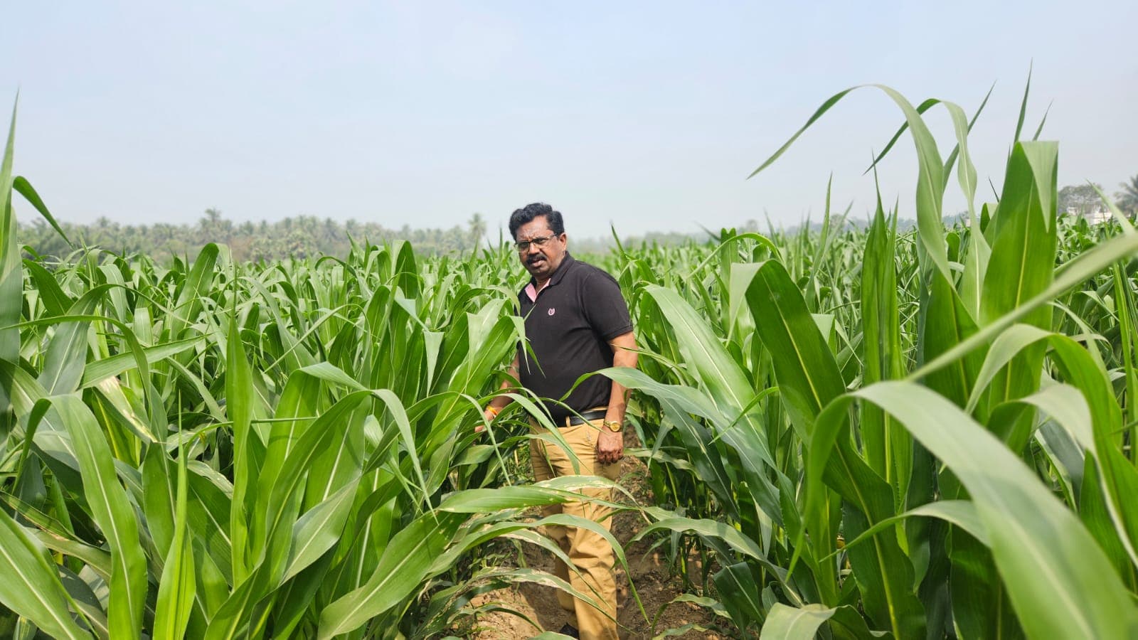 Suresh Kumar Pasunoori — Managing Director, Alekya Seeds Pvt. Ltd.